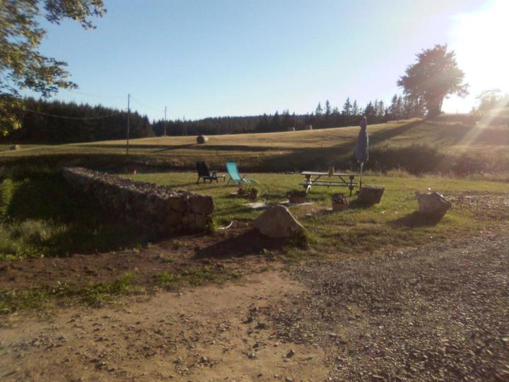 coucher du soleil dans jardin