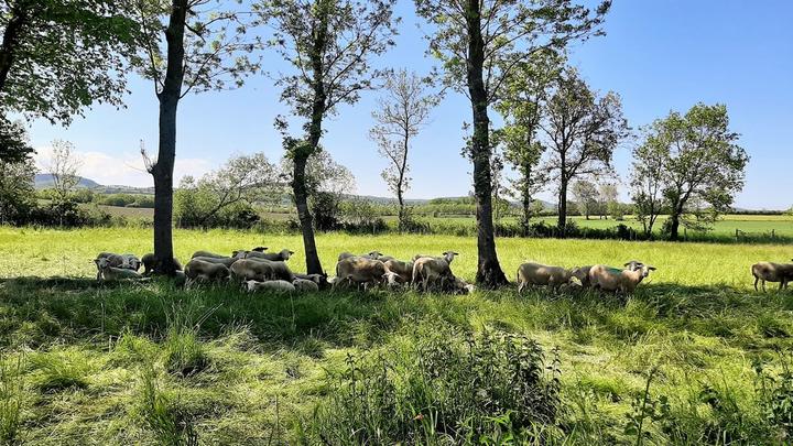 Gîte ADIAKE - 1er étage