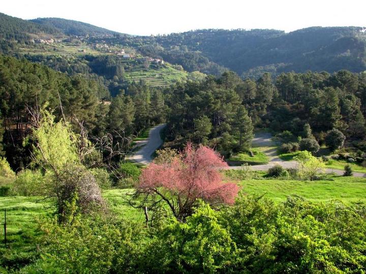 vue depuis la chambre et le salon au printemps