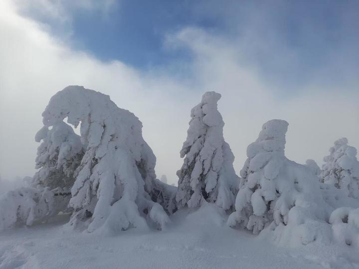 MEZENC Alt 1753, ère glacière ?
Hiver 2020-2021