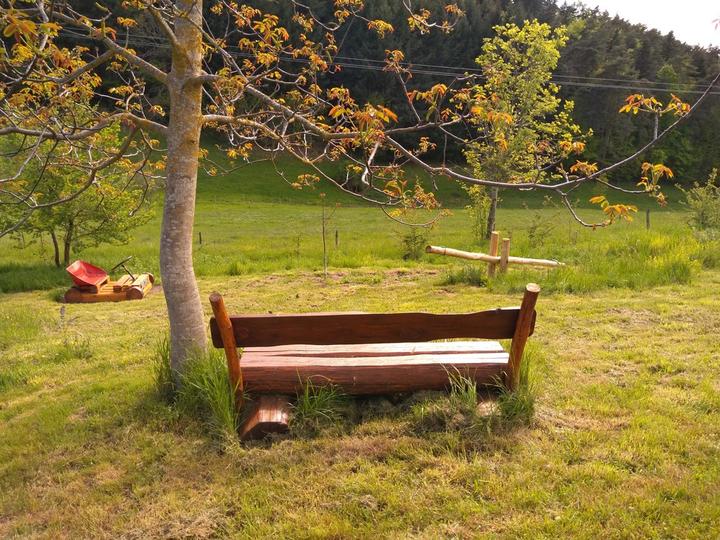 Le vallon d'Armandine