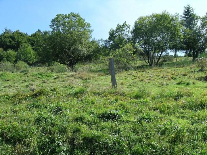 L'environnement du gîte
