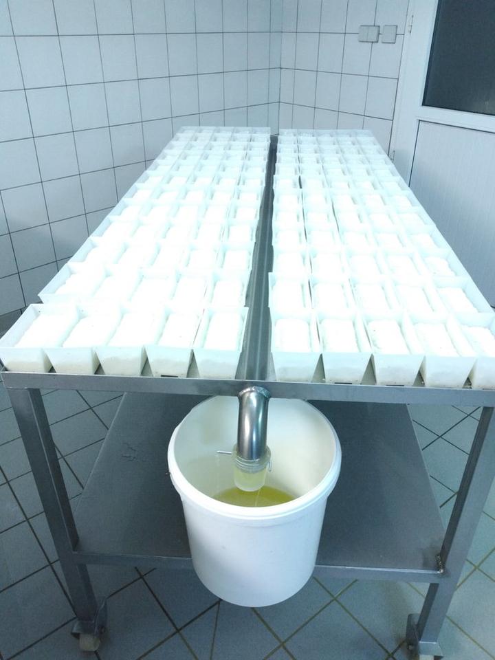 cubizolle philippe égouttage des briques