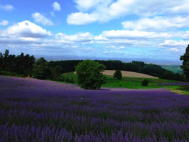 Le Vallon d'Armandine