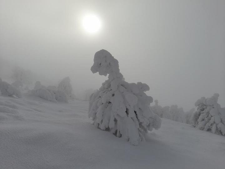 Le MEZENC EN HIVER 2020-2021 ?