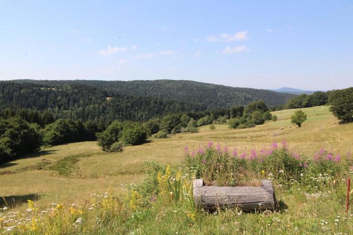 Magnifique vue et accès sur les champs
