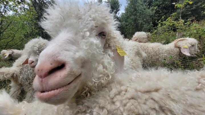 20220909_142304.jpg le nez au vent!