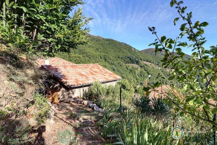 Petit chemin accédant à la 3e terrasse du gîte