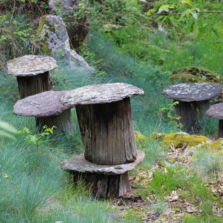 Photo Ruche1 Photo Ruche1