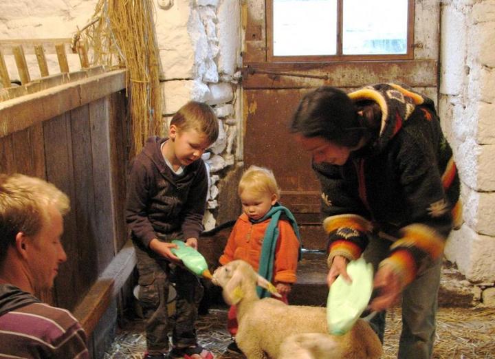 petit agneau et son biberon