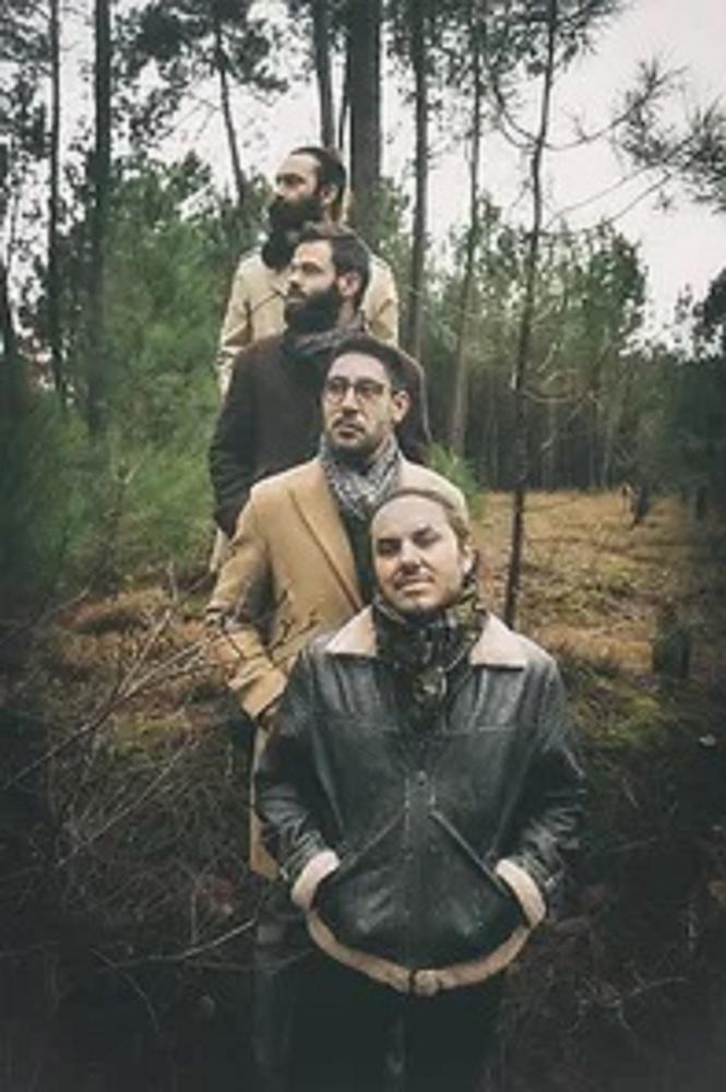 The Orchid The Orchid