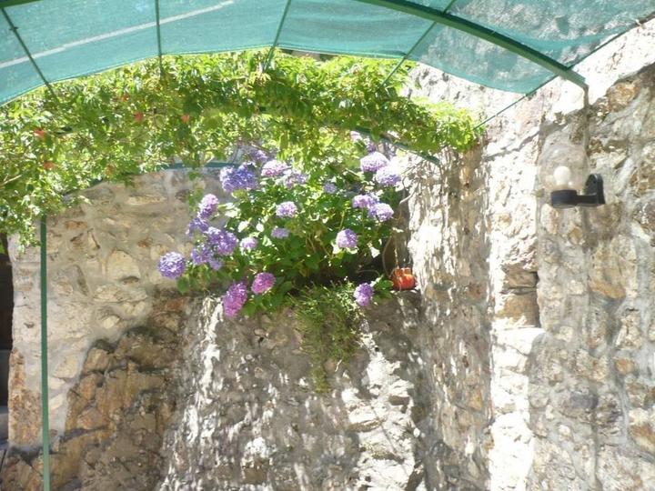 La terrasse ombragée